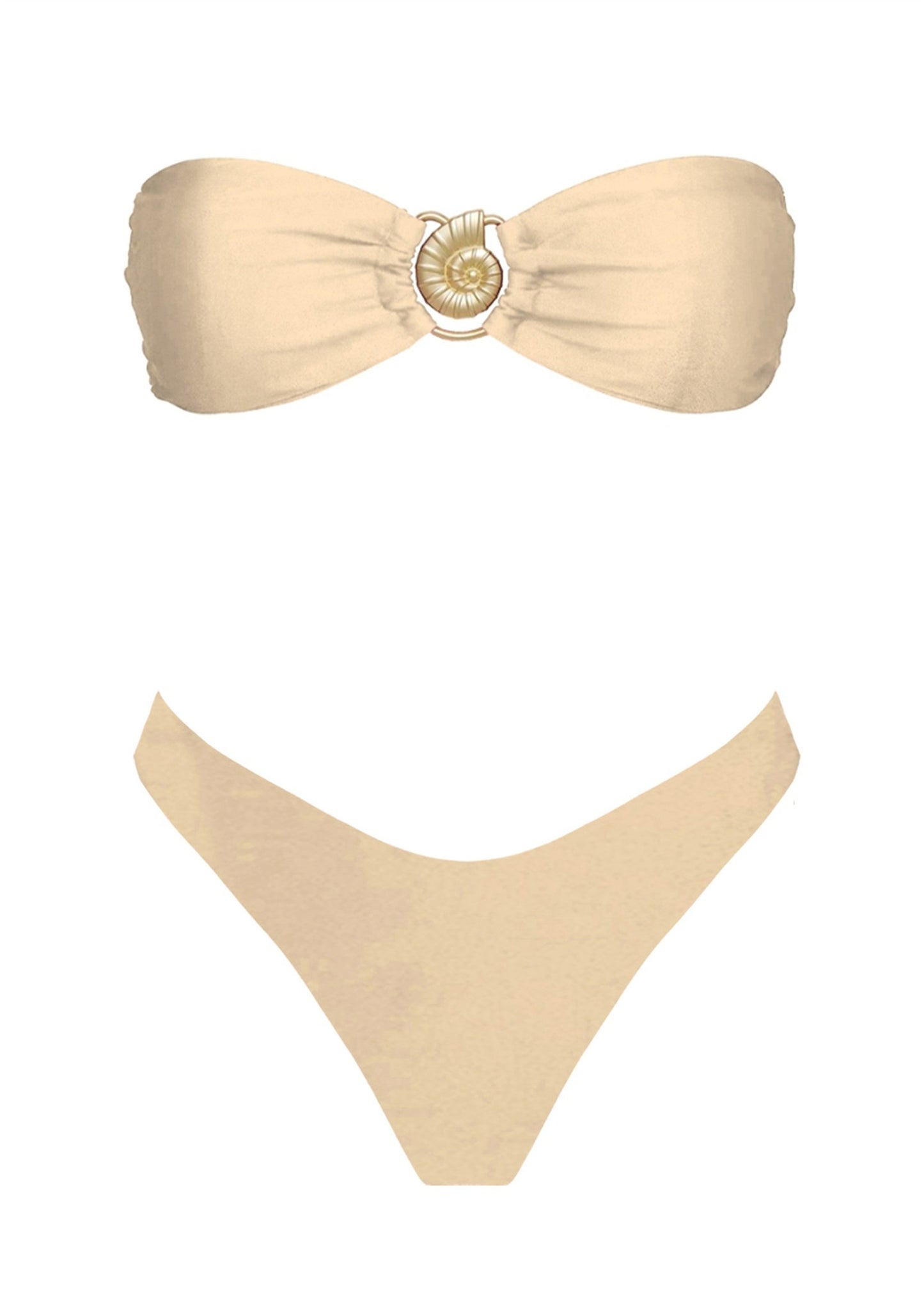 Golden Seashell