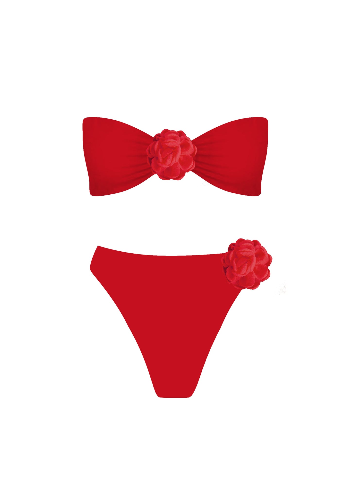 Red Camelia