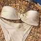 Golden Seashell