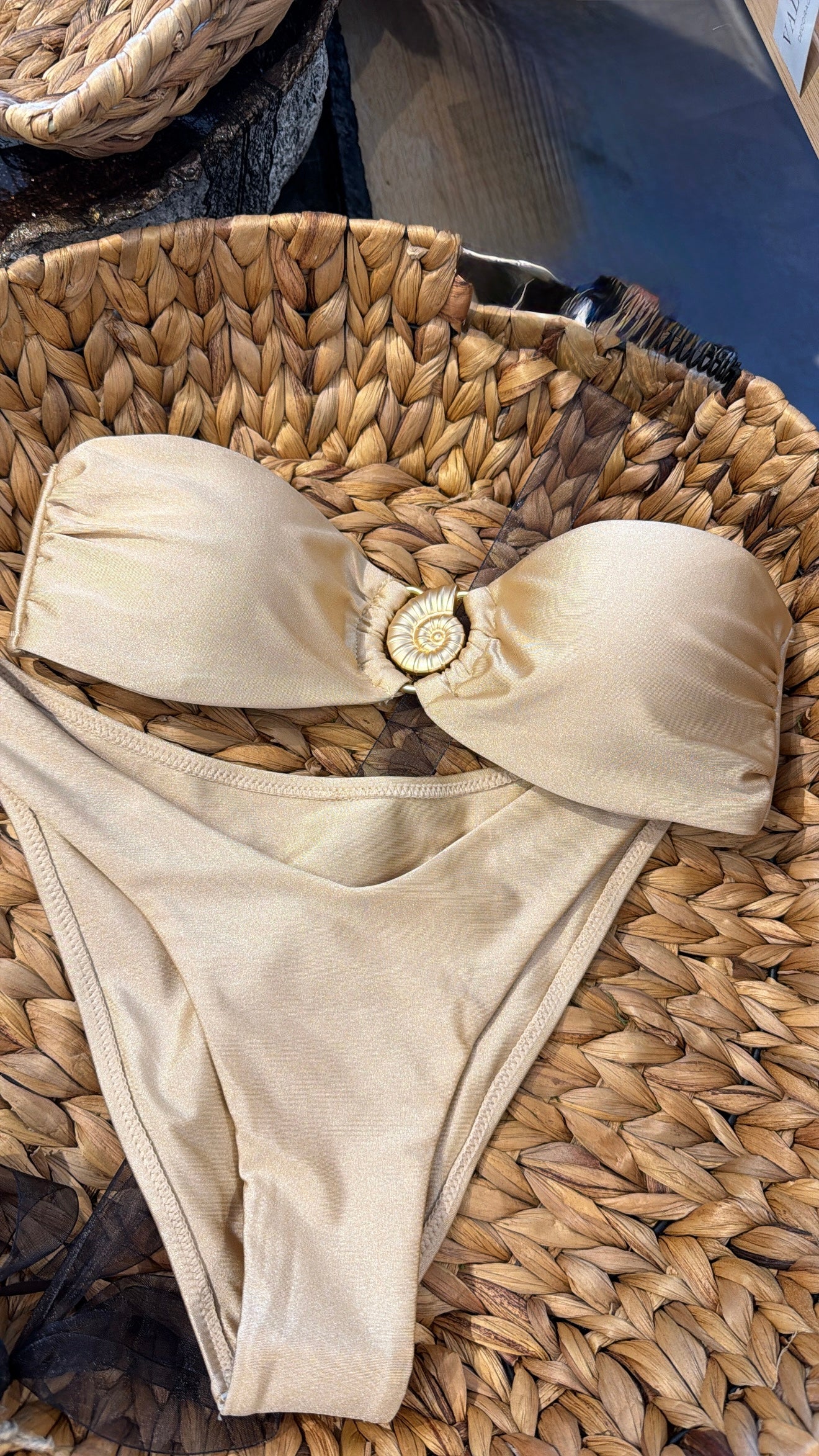 Golden Seashell