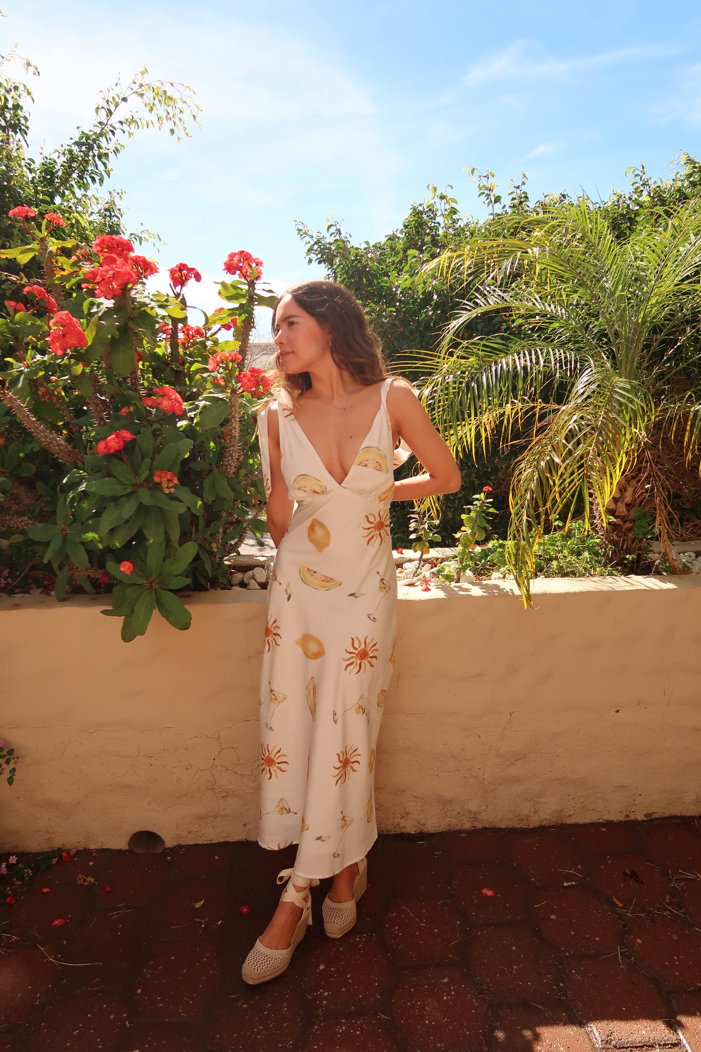 Sunshine & drinks dress